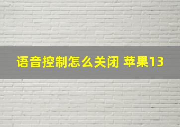 语音控制怎么关闭 苹果13